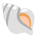 spiral shell on Google