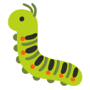 bug on Google
