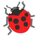 lady beetle on Google