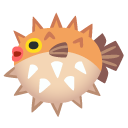 blowfish on Google