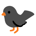 black bird on Google