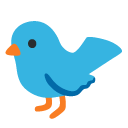 bird on Google