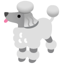 poodle on Google