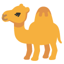 camel on Google