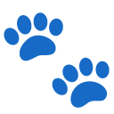 paw prints on Google