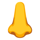 nose on Google