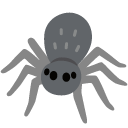 spider on Google