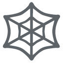 spider web on Google