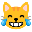cat with tears of joy on Google