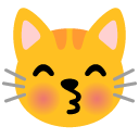 kissing cat on Google