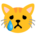 crying cat on Google