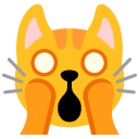 weary cat on Google