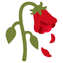 wilted flower on Google