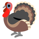 turkey on Google