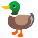 duck on Google