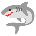 shark on Google