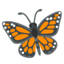 butterfly on Google