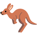 kangaroo on Google