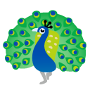 peacock on Google