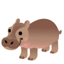 hippopotamus on Google