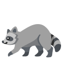 raccoon on Google