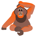 orangutan on Google