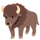 bison on Google
