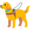 guide dog on Google