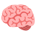 brain on Google