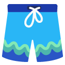 shorts on Google