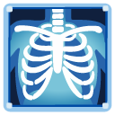 x-ray on Google
