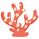 coral on Google