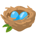 nest with eggs on Google