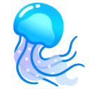 jellyfish on Google
