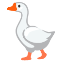 goose on Google