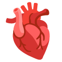 anatomical heart on Google
