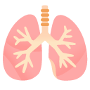 lungs on Google