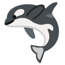 orca on Google