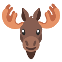moose on Google