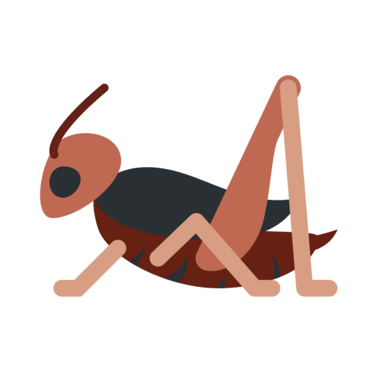 15 Insect Emojis to Use When Speaking of the Unspeakable What Emoji 🧐