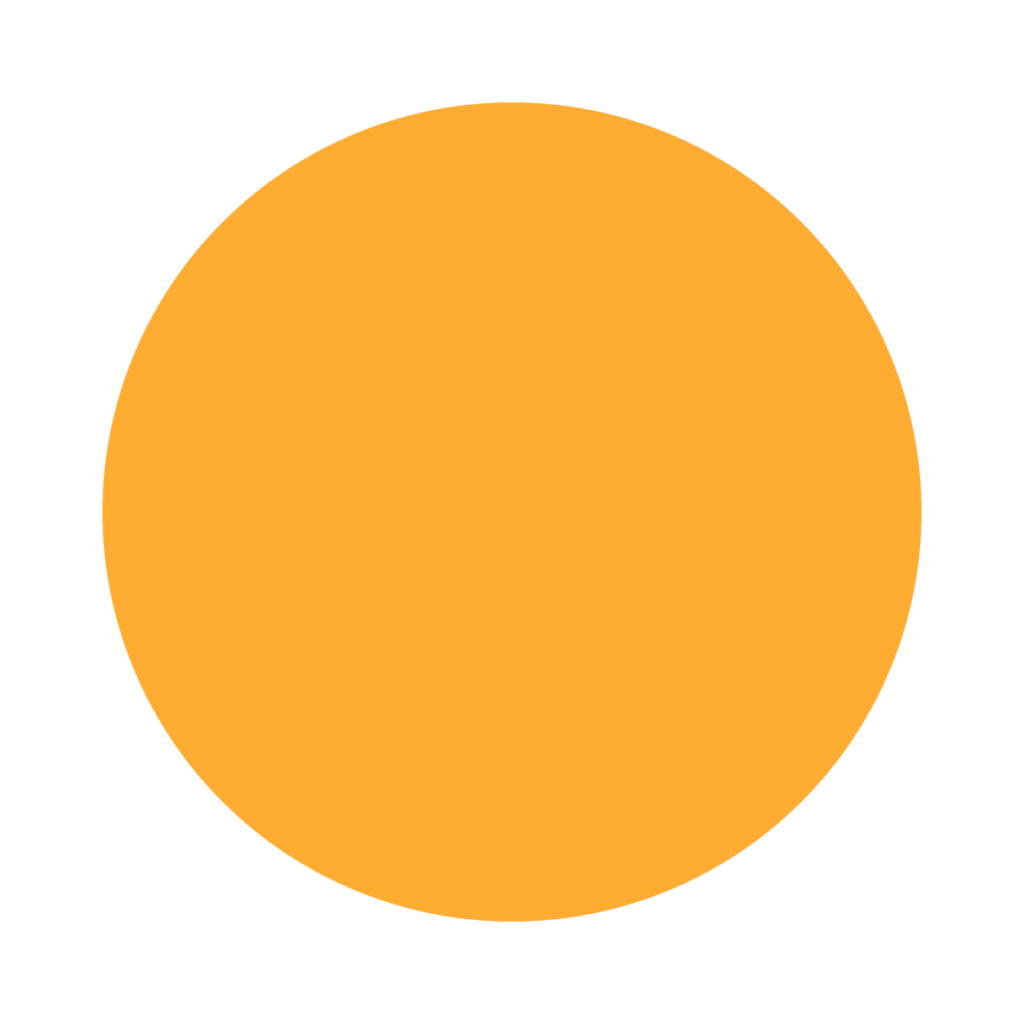 Orange Circle Emoji