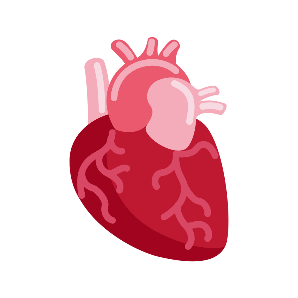 ⊛ Anatomical Heart Emoji